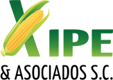 Xipe Xipe