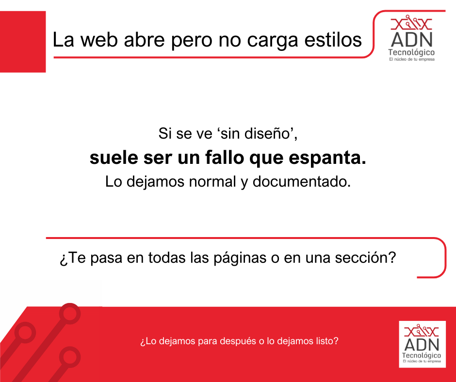 La web abre pero no carga estilos
