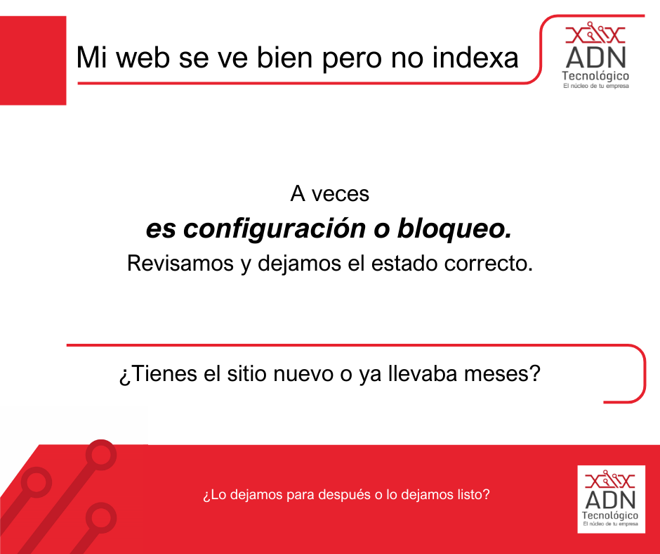 Mi web se ve bien pero no indexa